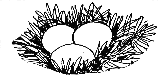 Logo: Nest mit Eiern